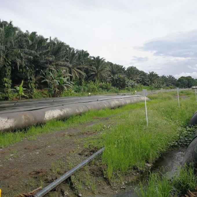 Geotubo de desidratação de lodo GT500 para projeto de dragagem ou geotubo de quebra-mar de proteção costeira 3