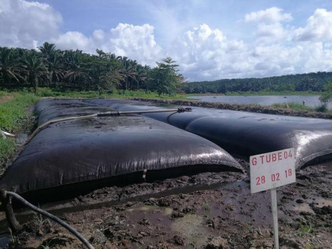 Geotubo de desidratação do tamanho da abertura de GT330D 50/50KN/M 0.4-0.8mm para o tratamento de águas residuais do óleo de palma sem adicionar floculante 1