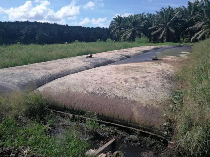 Geotubo de desidratação do tamanho da abertura de GT330D 50/50KN/M 0.4-0.8mm para o tratamento de águas residuais do óleo de palma sem adicionar o floculante 2